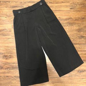 Zara wide leg crop pants NWT